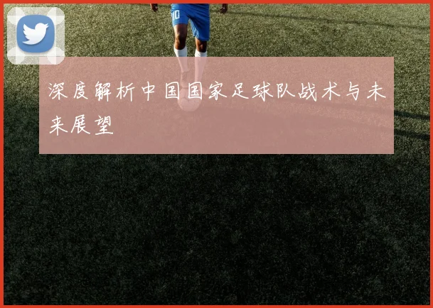 深度解析中国国家足球队战术与未来展望