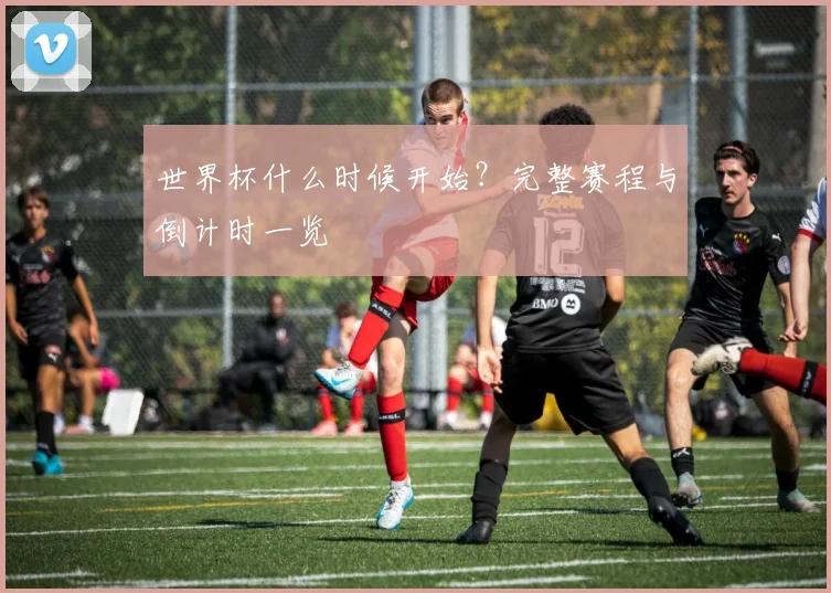 世界杯什么时候开始？完整赛程与倒计时一览
